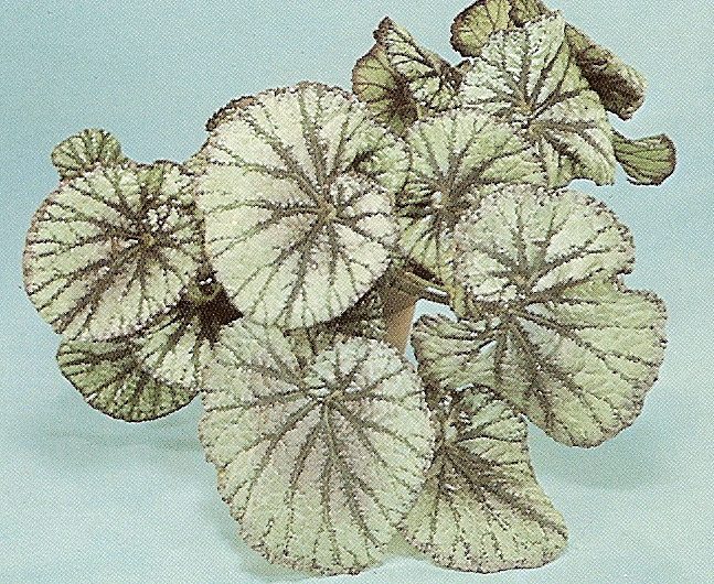B. ‘John Blais’
